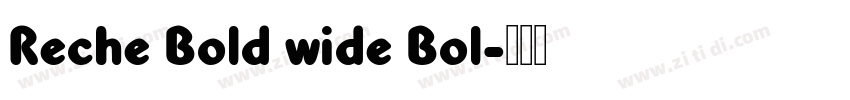 Reche Bold wide Bol字体转换